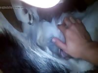 Bandits pussy rub gaybeast com [ Animal Woman ]