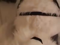 Beast me gaybeast com [ Animal Sex With Lust ]