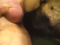 Beastcroat gaybeast com [ Girl Fucked by Pet ]