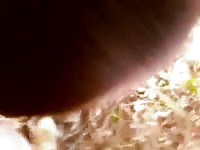 Beautiful mare gaybeast com [ Girl Fucked by Pet ]