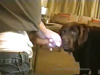 Bellafucliccum mpeg 1 gaybeast com [ Beastiality Porn Video With Bitch ]
