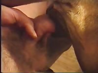 Big Girl pussy gaybeast com [ Beastiality lust ]