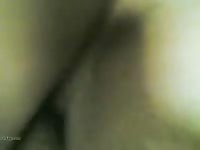 Big boy fuck Girls gaybeast com [ Girl Fucked by beast ]