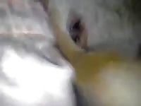 Big cock gaybeast com [ Girls Fucked by beast ]