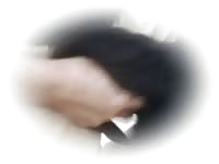 Big cock in black dog gaybeast com [ Zoophilia Sex Tube With Girl ]