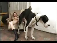 Nerd gets her pussy stretched in dog porn