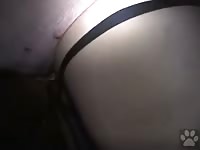 Big pig fuck german gay gaybeast com [ Girls Fucked by beast ]