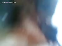 Girl and pups and cock tundra foxie making feeding pups