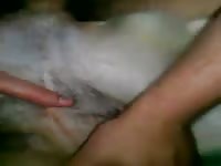 Woman dog gaybeast com [ Girls Fucked by Animal ]