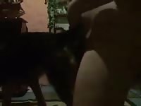 Girls fucked hard and crying gaybeast com [ Girls Fucked by Pet ]
