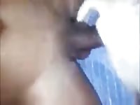 Girls gangbang gaybeast com [ Zoophilia Sex With Woman ]