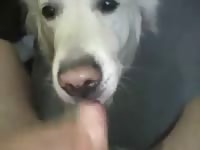 Lust lick gaybeast com [ Beastiality Woman ]