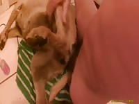 Girl takes it up the ass gaybeast com [ Zoophilia lust ]