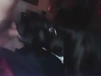 Bj gaybeast com [ Girls Fucked by beast ]