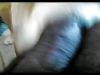 Black big dick 5 gaybeast com [ Zoophilia Girl ]