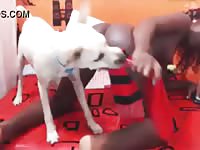 Erotic ebony slut tries to fuck her dog in bestiality porn
