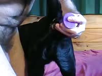 Black labrador Woman anal gaybeast com [ Beastiality Porn Tube With Woman ]