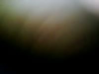 Black mini mare gaybeast com [ Girl Fucked by Animal ]