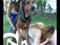 BFI: Hot ebony takes in dog cock in amateur dog porn