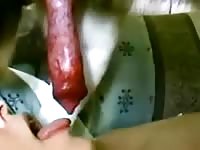 Blonde gives her dog a nice a blowjob in amateur dog porn