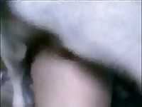 Naughty blonde cums from bestiality sex with dog