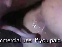 Boar gaybeast com [ Woman Fucked by Animal ]