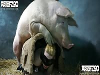 Artofzoo: Pornstar Yasmin has animal sex shoot in a farm sex