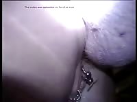 Pierced woman in bestiality action takes pig's cock in her wet pussy