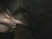 Boar screws man gaybeast com [ Girls Fucked by Animal ]