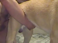 Bottom dog 2 gaybeast com [ Zoophilia Sex Tube With Girl ]