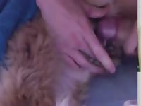 Boy and lust gaybeast com [ Girl Fucked by Animal ]