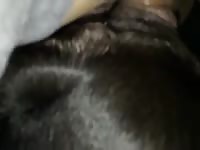 Boy and dog 12 gaybeast com [ Zoophilia Porn Video With Girl ]