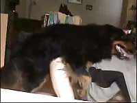 Boy and dog 7 gaybeast com [ Girls Fucked by Pet ]