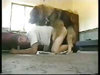 Boy and dog 8 gaybeast com [ Zoophilia lust ]