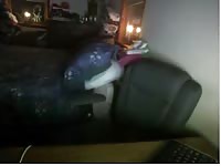 Boy and little Girl gaybeast com [ Animal Sex Tube With Woman ]
