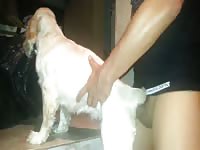 Boy fuck dog 3
