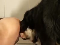 Boy fun gaybeast com [ Animal lust ]