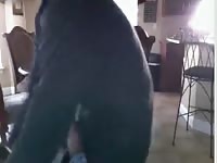 Boy have fun with dog gaybeast com [ Beastiality Sex Video With Woman ]