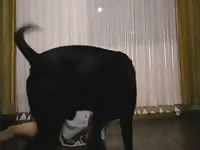 Boy in hoodie takes dog gaybeast com [ Girl Fucked by beast ]