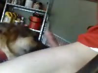Boy knotted 1 gaybeast com [ lust Fucked by Animal ]