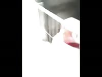 Boy viet nam fuck pig gaybeast com [ Beastiality Woman ]