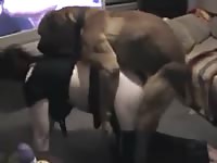 Hot amateur zoophilia girl takes deep dog's cock and balls