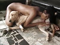 Sexy brown girl has kinky anal sex with her friend's trained dog in zoophilia action