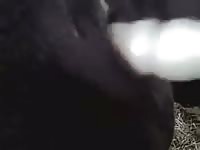 Bull fisting gaybeast com [ lust Fucked by Animal ]