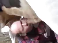 Bull fuck gaybeast com [ lust Fucked by Pet ]