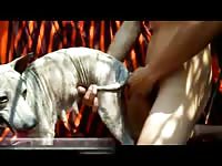 Cadela safada gaybeast com [ lust Fucked by beast ]