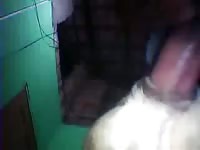 Cadela2 gaybeast com [ Beastiality Woman ]