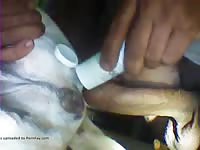 Cadela5 gaybeast com [ Animal Sex With Girl ]