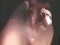 Wife loves animal sex that she gets her pussy stretched by her dog in her own bed