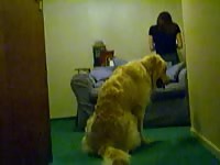 Dog humps hot slut Shylark till she cums in bestiality porn
